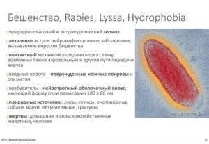 Аэрозольный путь передачи бешенства