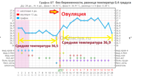 К вечеру при беременности поднимается температура
