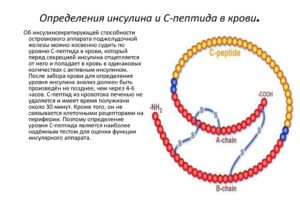 Низкий инсулин и с-пептид