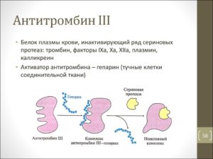 Антитромбин 3 при беременности