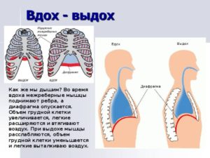 Свист при вдохе и выдохе по ночам