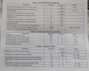 Расшифровка анализа спермограммы, спематон, спермактин