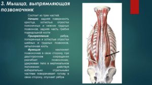 Патологическое образование в мягких тканях паравертебральной мышцы спины