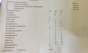 Enterococcus faecalis 10 в 3 степени