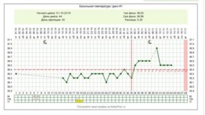 Вероятность беременности в конце цикла