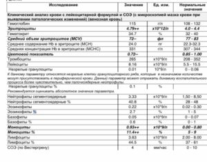 Моноциты повышены у ребенка