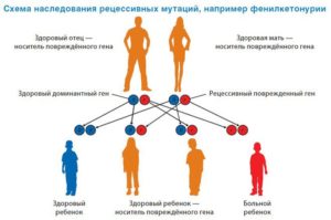 Передается ли ОКР по наследству