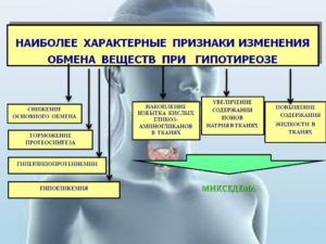 Гипотиреоз: сниженный обмен веществ, прием лецитина и спирулины