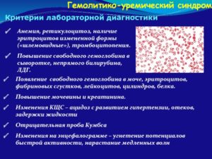 Гемоглобин и эритроциты в моче