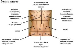 Болит живот снизу, справа у девочки 10 лет