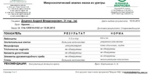 Расшифровка мазка у мужчины