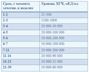 Неразвивающаяся беременность и уровень хгч