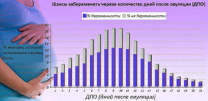 Ввероятность беременности за 5 дней до овуляции