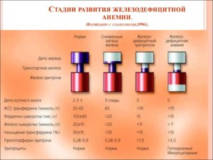 Падает железо в крови на фоне лечения препаратами железа