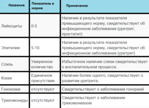 Расшифровка мазка у мужчины