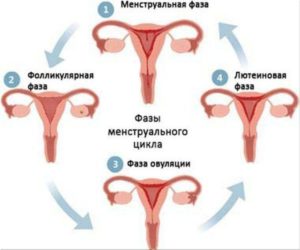 Задержка месячных 1 год у спортсменки