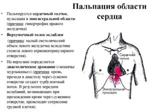 Толчки в груди