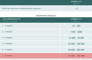 Неразвивающаяся беременность и уровень хгч