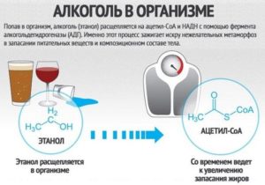 Плохо после небольшого количества выпитого алкоголя