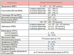 Лейкоциты в крови при беременности