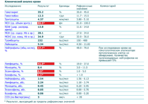Повышены моноциты консультация