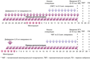 Короткий цикл при стимуляции овуляции летрозолом