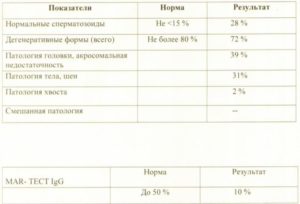 Спермограмма. Дегенеративные формы