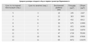 Размеры плодного яйца и эмбриона