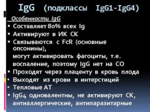 Расшифровка анализа IgG4