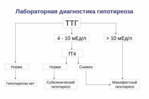 ТТГ и Т4 при простуде