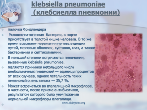 Raoultella ornithinolytica У грудничка