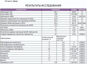 Повышенные базофилы и моноциты у ребёнка 2,5 года