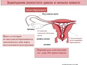 Если пошли месячные значит не беременна?