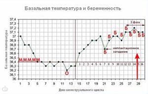 К вечеру при беременности поднимается температура