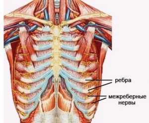 Ноет под ребро слева мышцы