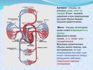 Слышно как кровь течет по сосудам