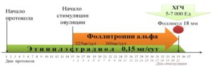 Бесплодие стимуляция летрозолом