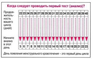 Определить задержку при нерегулярном цикле