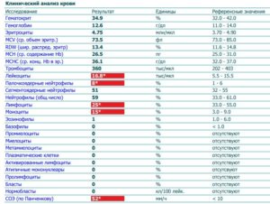 Повышены моноциты и СОЭ у ребенка, понижены лейкоциты