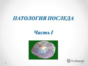 Патология последа