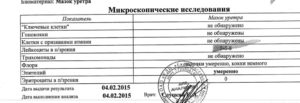 Расшифровка мазка у мужчины