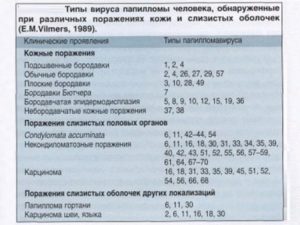 Вирус папилломы человека 56, 31 и 33 типа