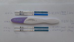 Беременность или нет, тест отрицательный и УЗИ тоже
