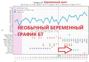 Звдержка 4 дня. БТ 36.6