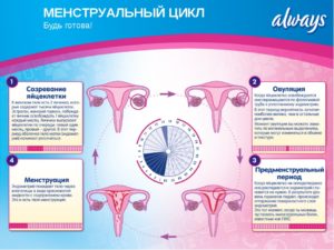 Плохое самочувствие, после менструального цикла