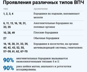 Вирус папилломы человека 56, 31 и 33 типа