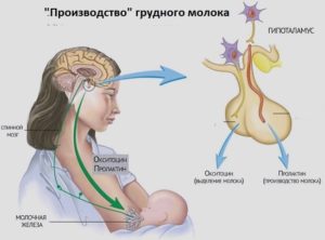 Повышен пролактин, мастопатия, нарушен цикл, частые стресы