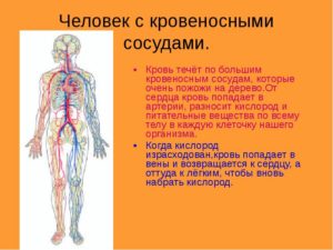 Слышно как кровь течет по сосудам
