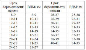 Высота дна матки в 16 недель меньше нормы