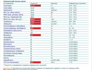 Повышены моноциты консультация